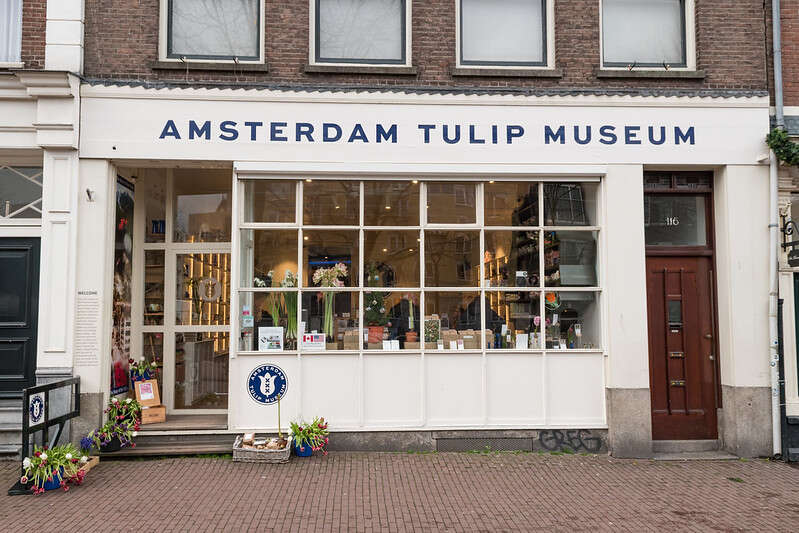 tulip museum