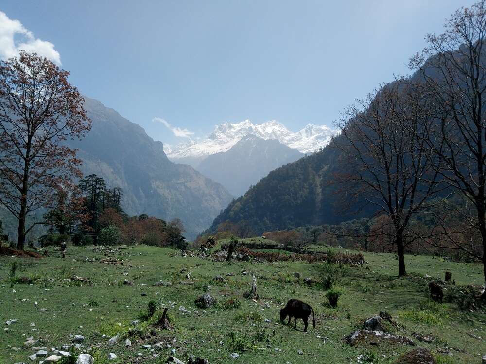nepal nature