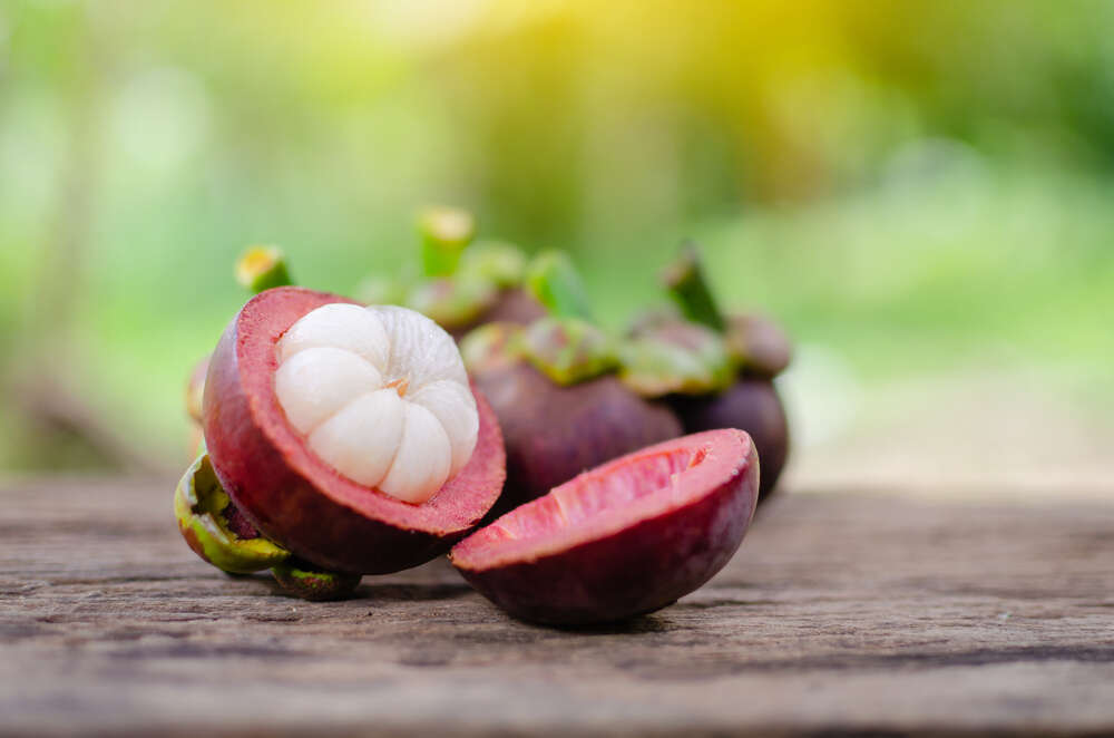 Mangosteen