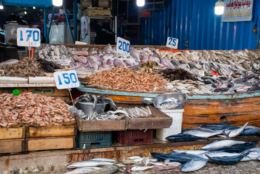 fish-market