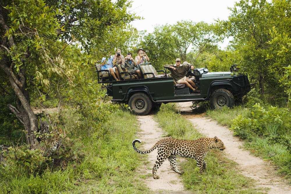 Национальный парк Крюгера - один из лучших парков Африки