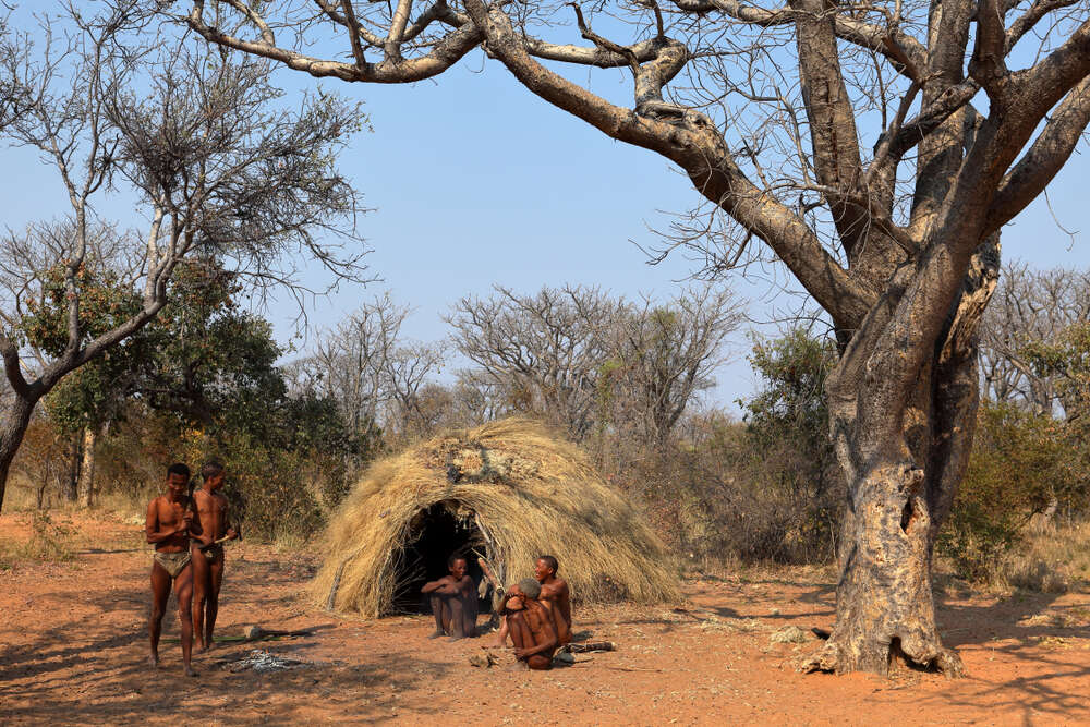 Бушмены в пустыне Калахари, Ботсвана, Африка