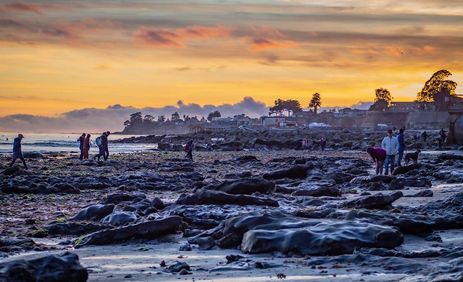 A Walk on the Bottom of the Ocean: King Tides in California