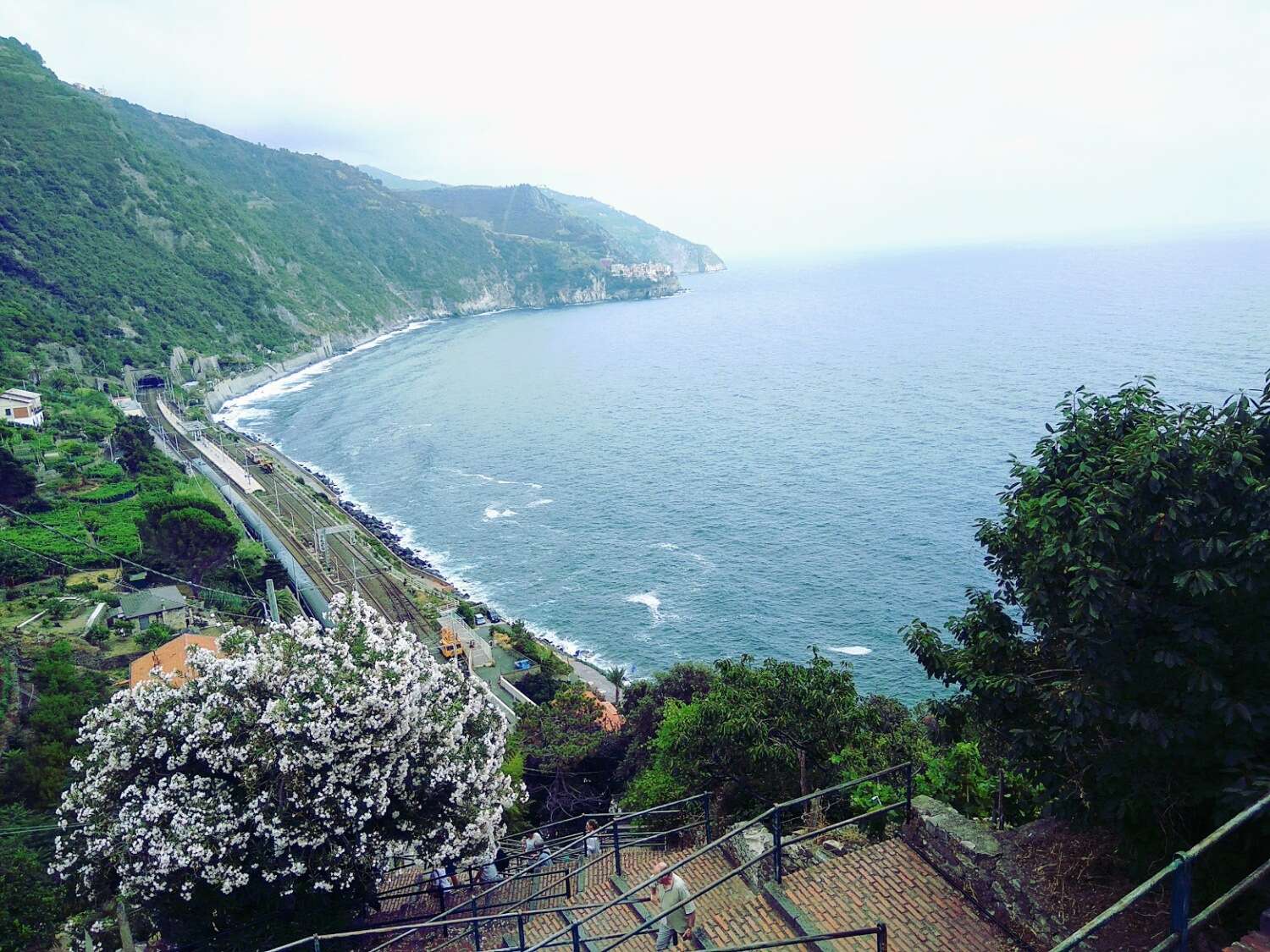 Corniglia 