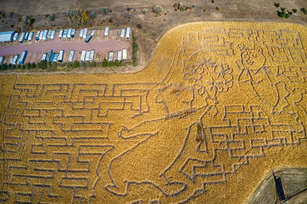 Гигантские лабиринты в полях кукурузы в США