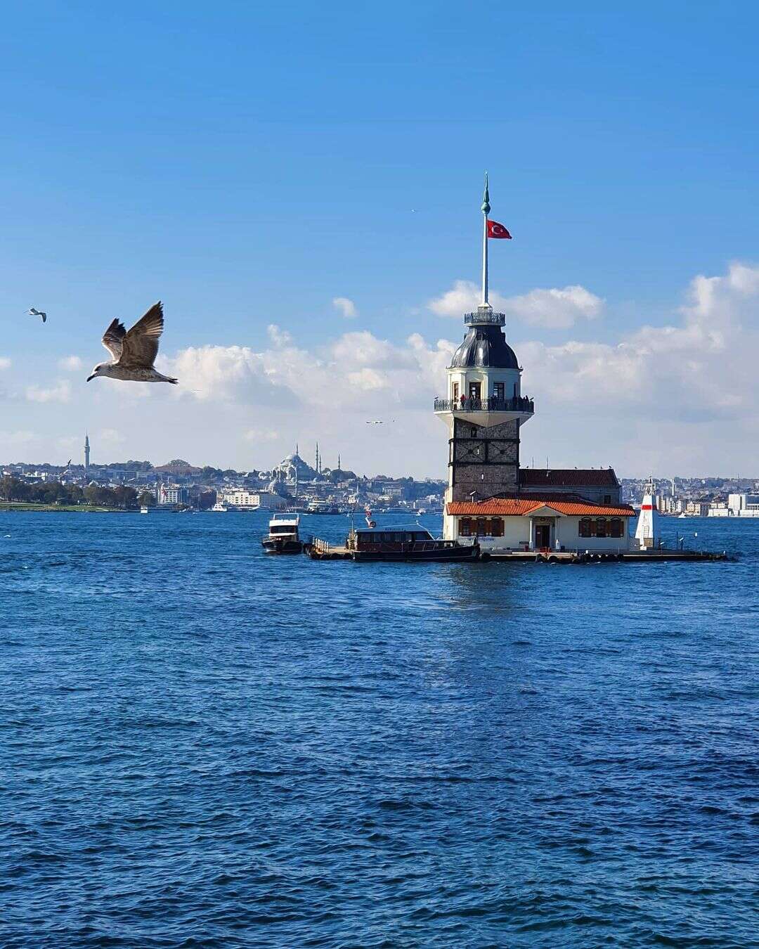 Панорама Стамбула и Девичьей башни 