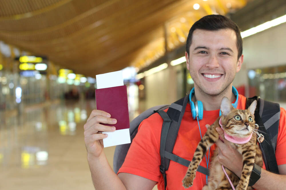 traveling with his cat