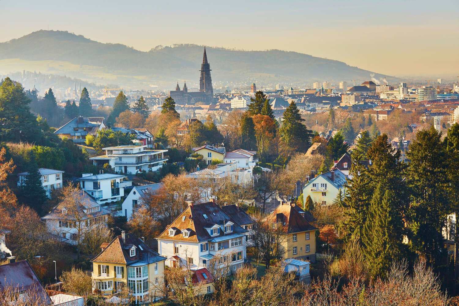 Freiburg im Breisgau