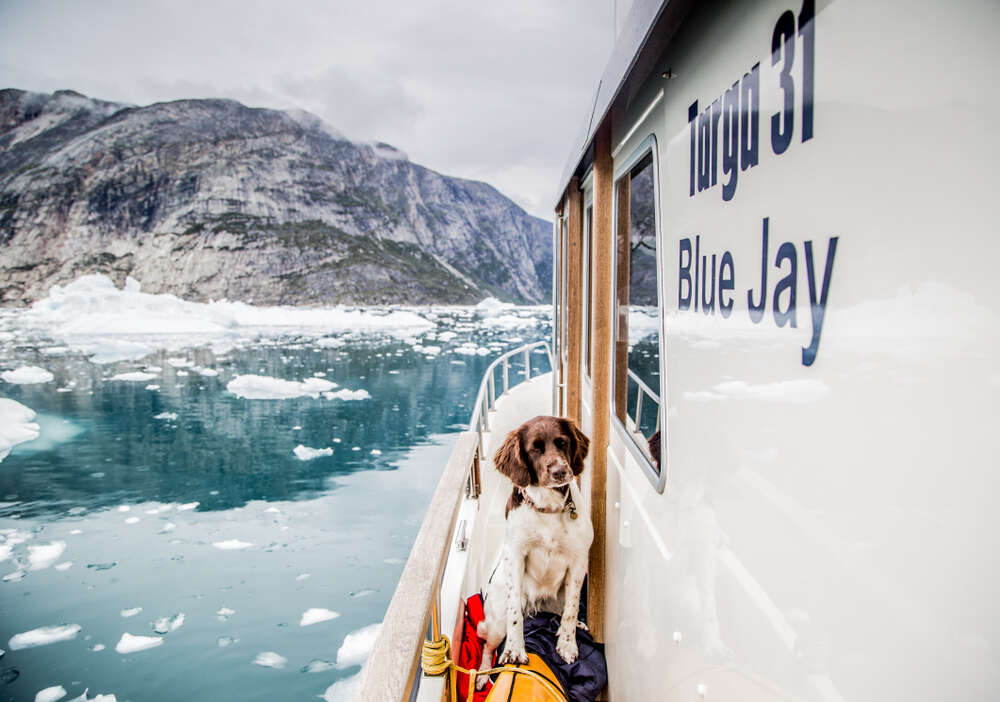 Nuuk Fjord Adventure Travel