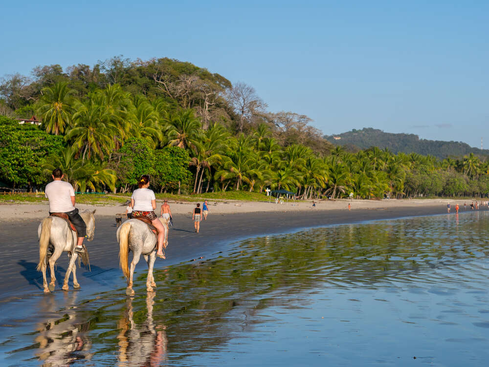 beach horses