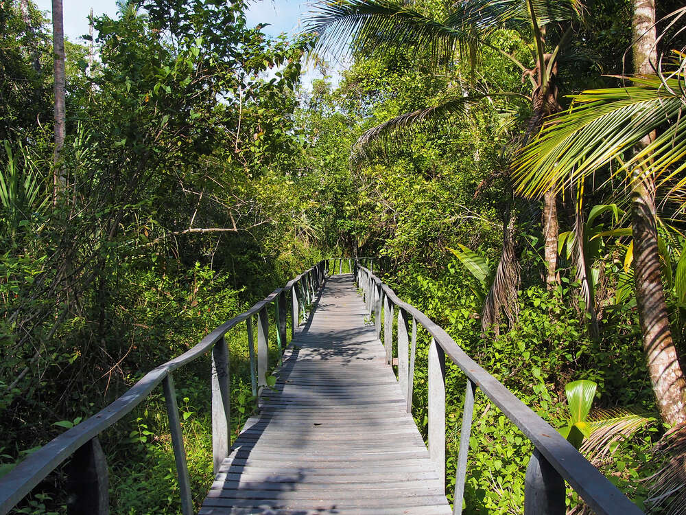 Cahuita National Park