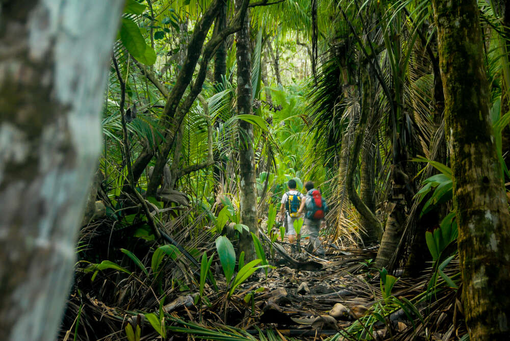 Corcovado National Park