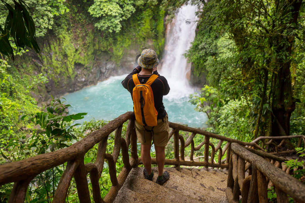 green tropical jungle