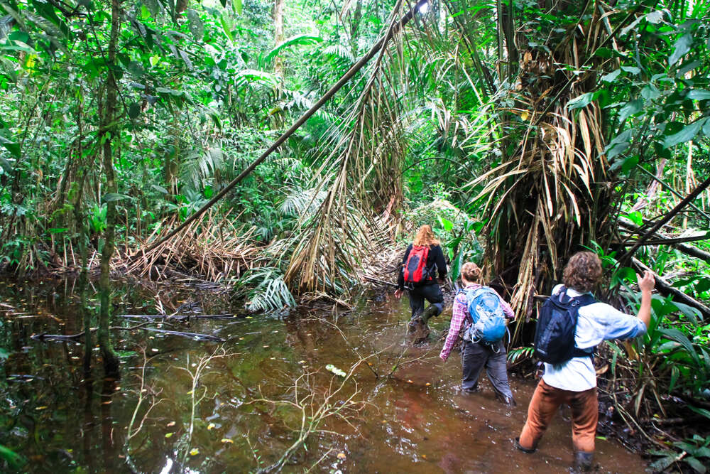 Tortuguero National Park