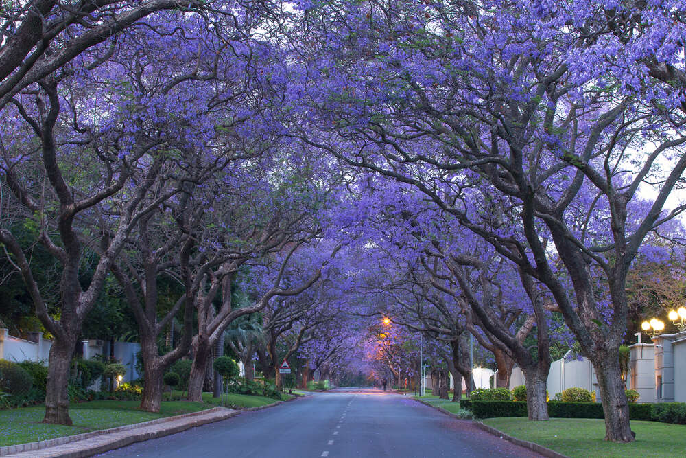 Йоханненсбург, ЮАР