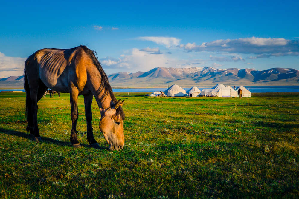 The Silk Road Country: The Best Places and Activities in Kyrgyzstan