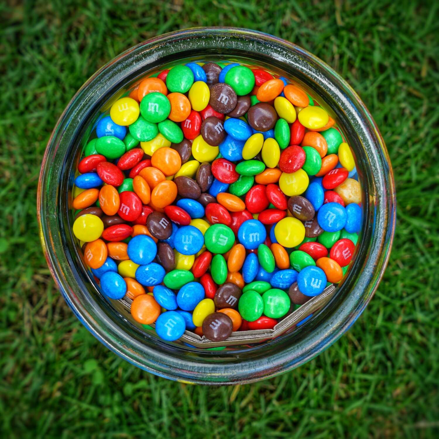 Синяя или красная: репортаж о магазине шоколадных конфет M&Ms в Нью-Йорке