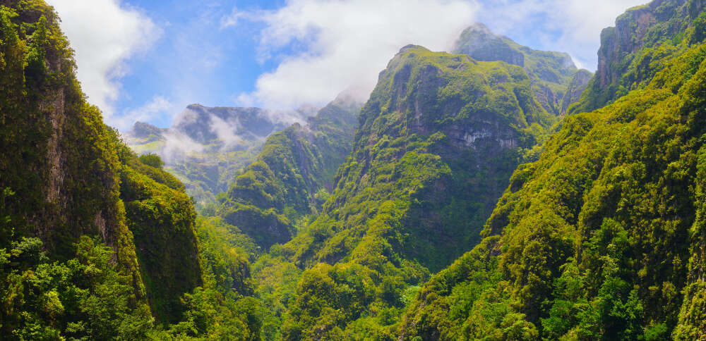 Леса и национальные парки на острове Мадейра