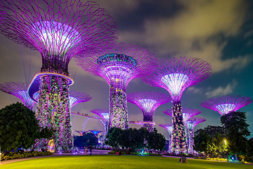 gardens by the bay