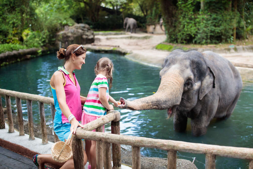 singapore zoo