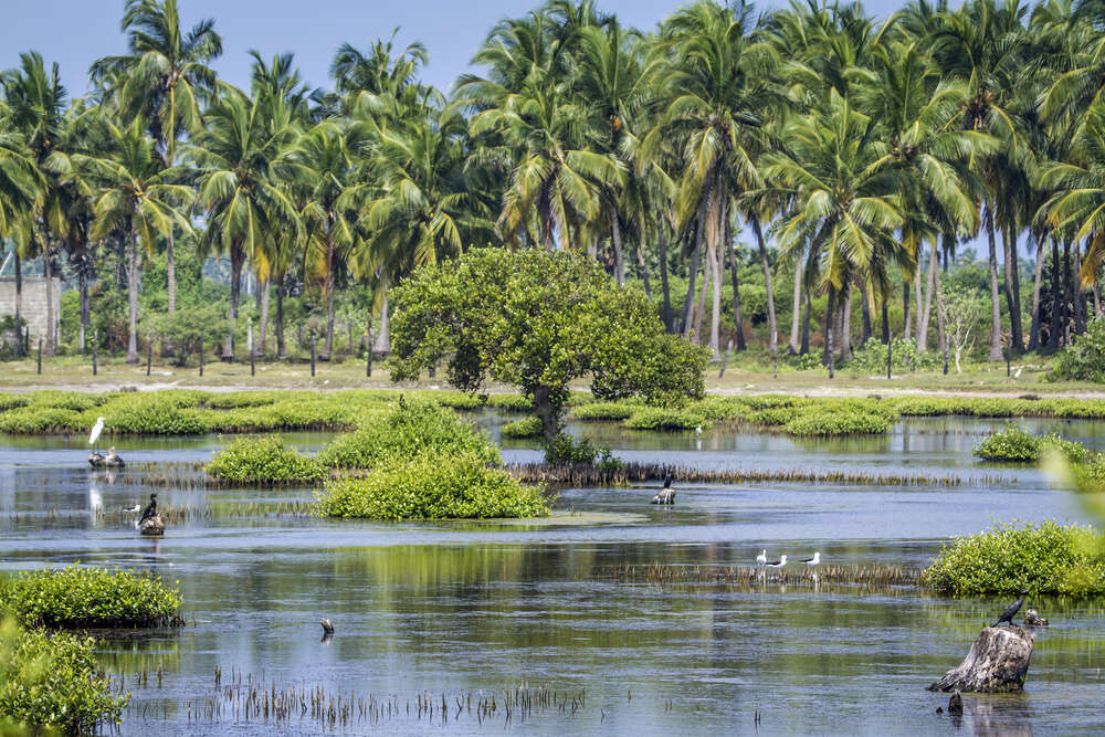 kalpitiya