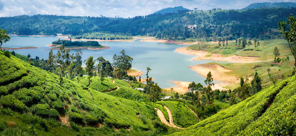 nuwara eliya