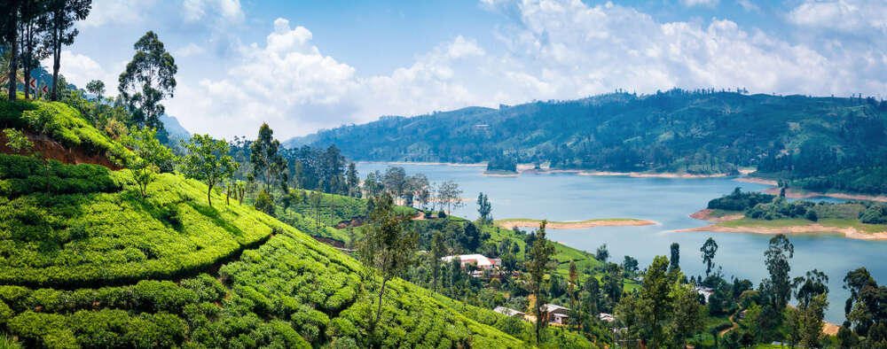 Sri Lanka: Volles Eintauchen. Teil 2