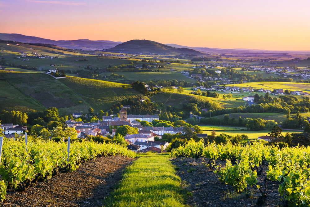 Beaujolais