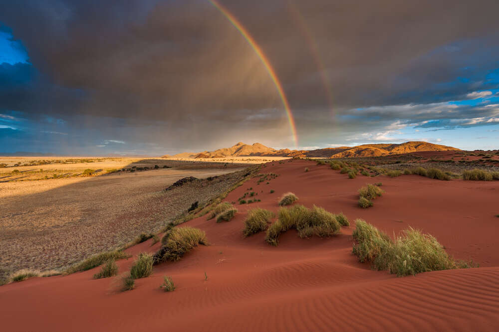 Namibian desert