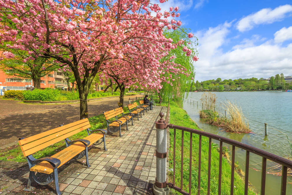 Ueno park