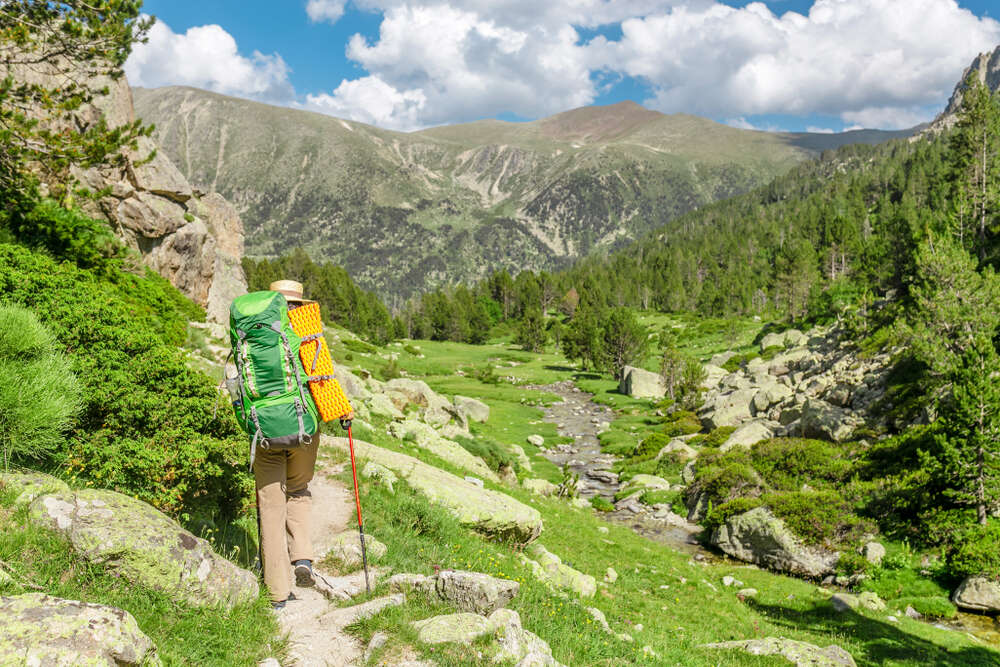 pyrenees