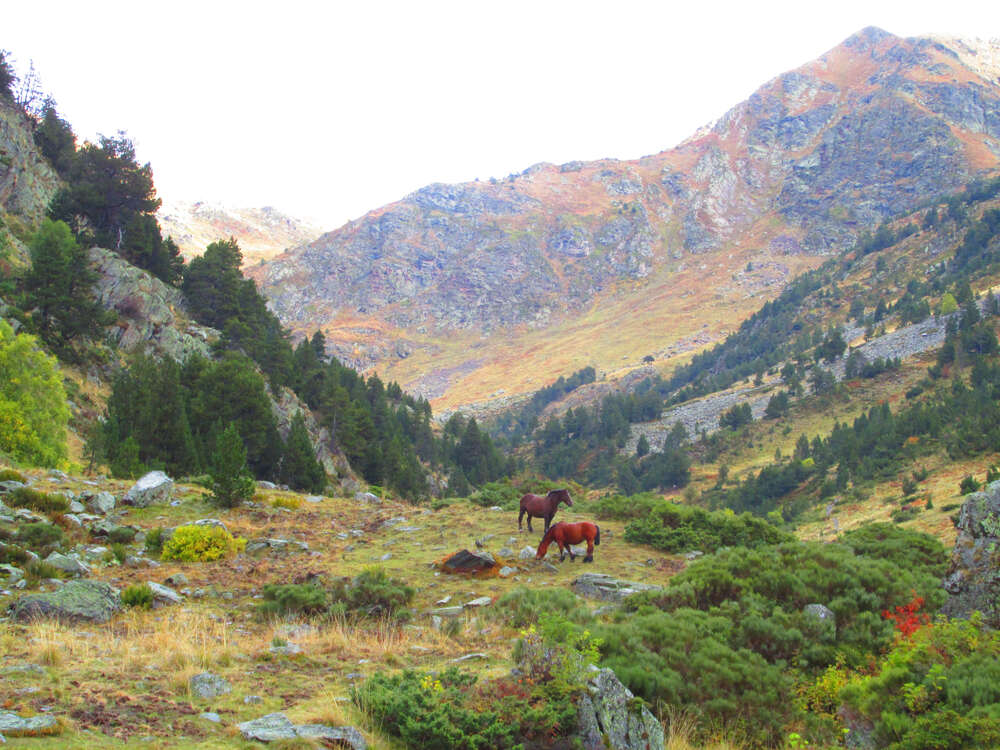 Vall de Sorteny Natural Park