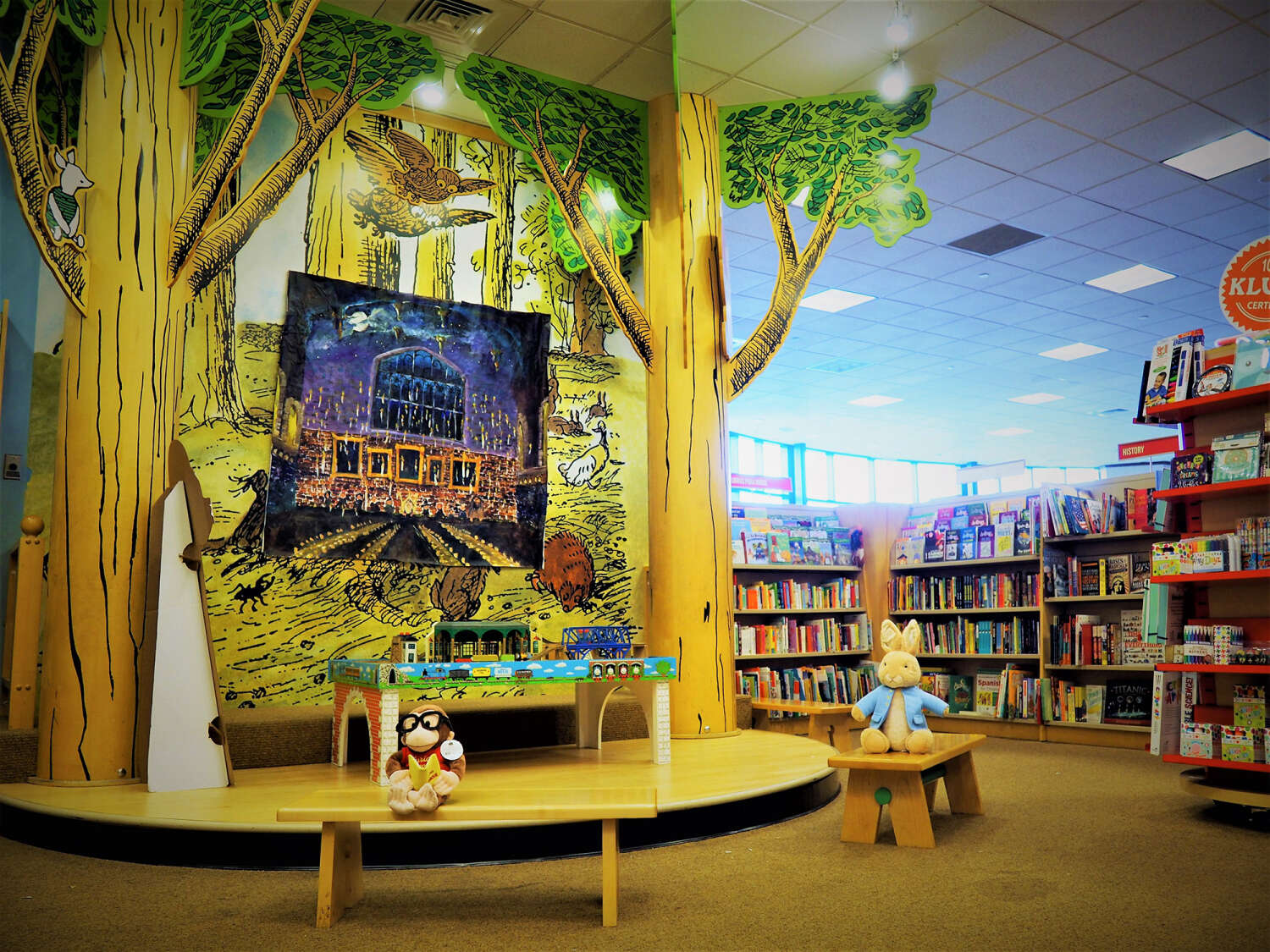 Детские книжные магазины в США