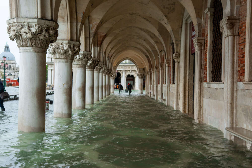 high water in Venice 