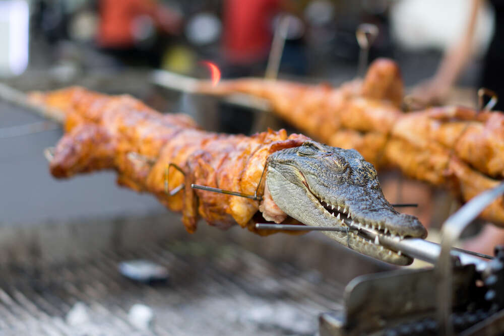 Fried crocodile meat