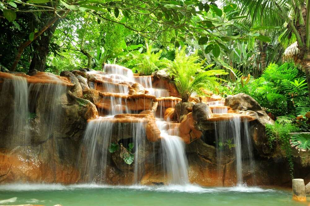 Парк Корковадо в Коста- Рике, Карибские острова