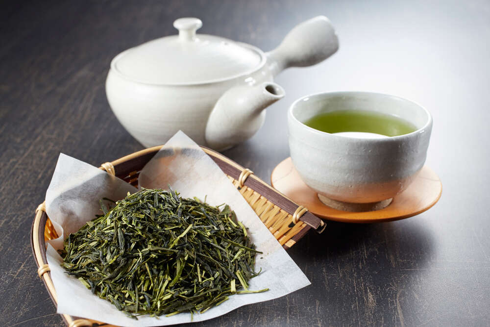 Sencha